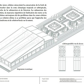 Palétuviers Frontier Water Plants