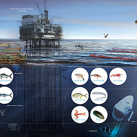 Oil Rig Aquaculture Column