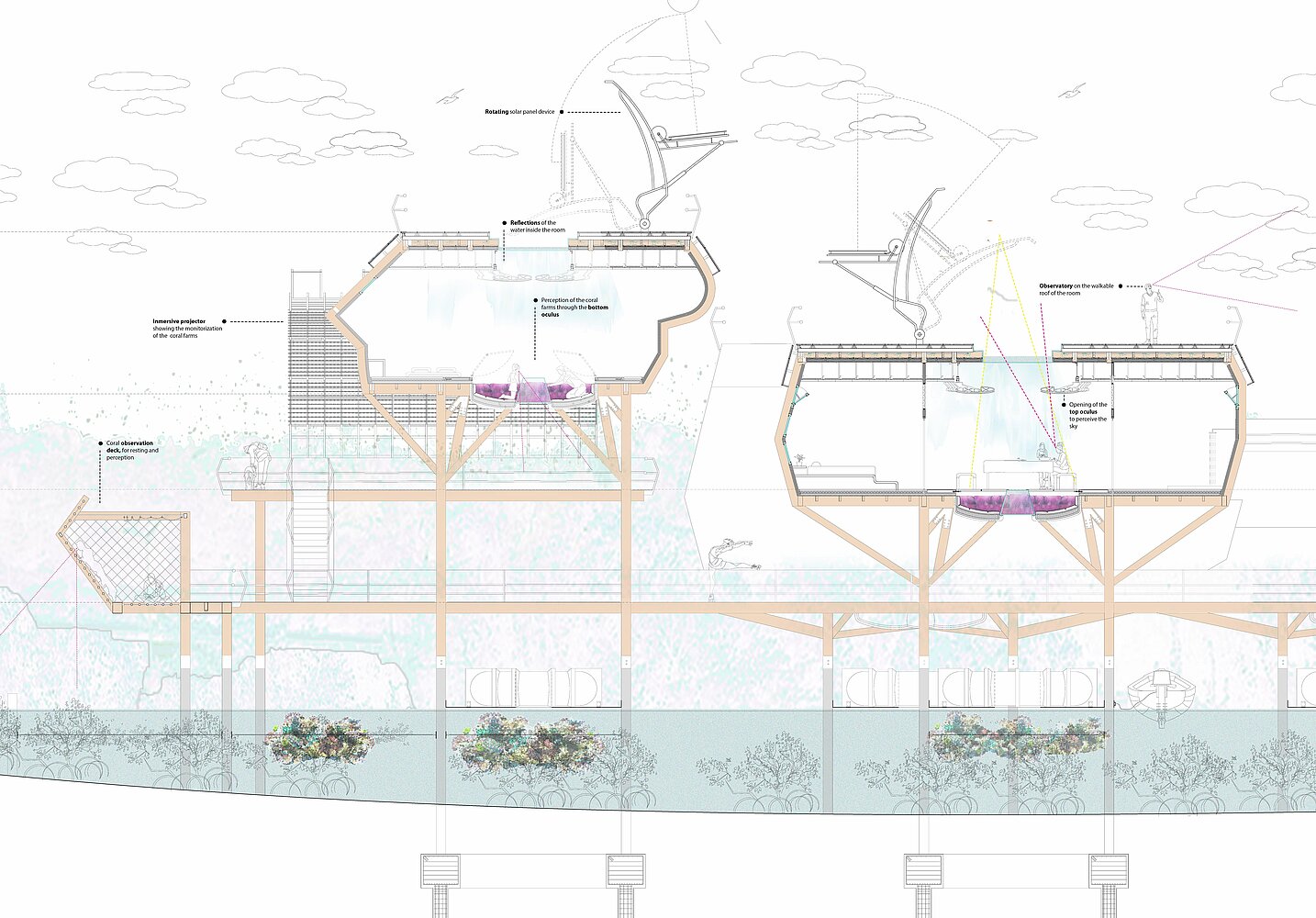 Jacques Rougerie Database CORALLIIDAE